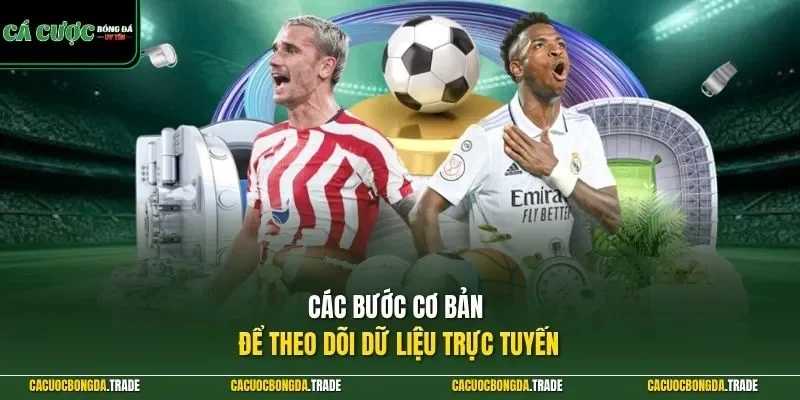 Các bước cơ bản để theo dõi dữ liệu trực tuyến