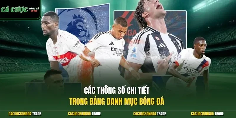 Các thông số chi tiết trong bảng danh mục bóng đá