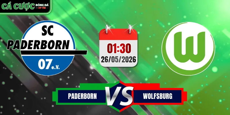Paderborn vs Wolfsburg