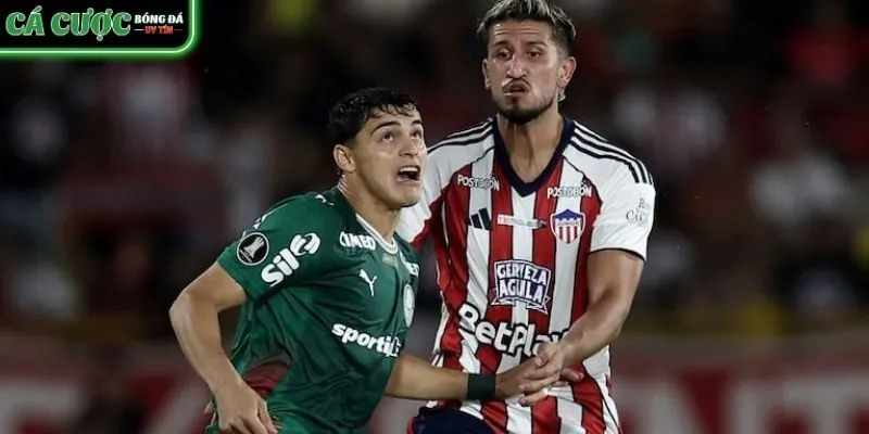 Soi kèo Palmeiras vs Junior - lượt 6 bảng F Copa Libertadores.
